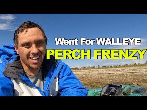 Montana Kayak Fishing: Walleye Hunt Turns Perch Frenzy