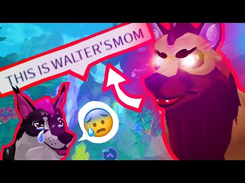 WE GOT IN TROUBLE on Wolves Life Dawn