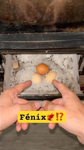 Eggs in the fireplace? Discover the mystery! 🐣🔥