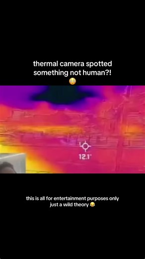 A woman goes to Buckingham Palace with a thermal camera. This is all just for fun and entertainment purposes, only. @Shana Hype