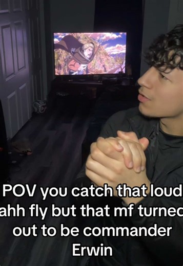 I never stood a chance😭 #fyp #aot #erwinsmith #anime #darwinmartinez | erwin smith