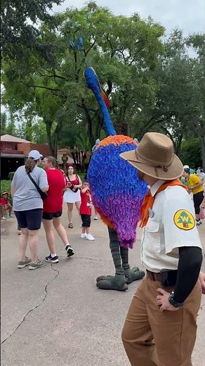 Kevin the Bird at Disney’s Animal Kingdom 2025 | Wilderness Explorers & UP! Encounter in 4K