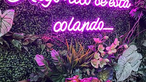 13 new must-try North Jersey coffee shops for frothy cappuccino and delicious pastries