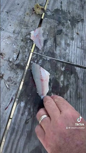 How To Clean a White Perch - The Right Way