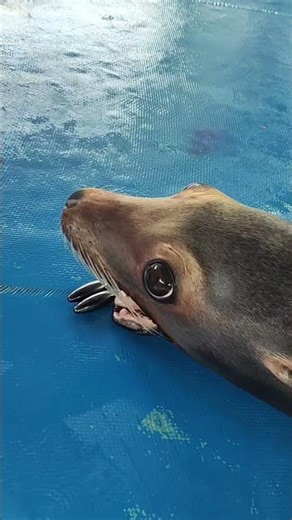 The funniest clips of 2026