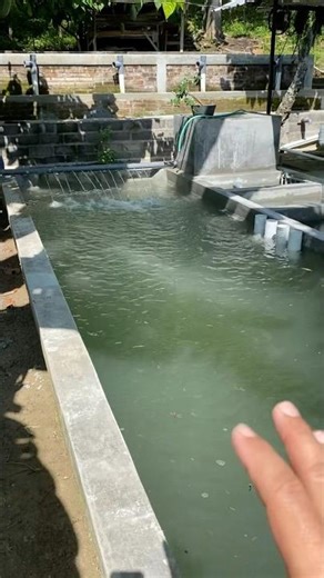 Pool circulation and filtration system