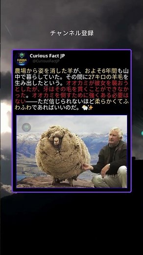 6年間、誰にも刈られなかった羊の驚きの姿