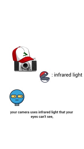 How night-vision cameras actually see in the dark