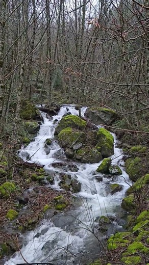 Nature's healing, streams, rivers, and creeks