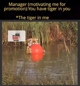 2.6M views · 16K reactions | VellaBankers on Reels | Facebook