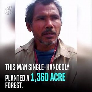 203K views · 2K shares | Meet the 'Forest Man of India'. | Being Indian | Facebook