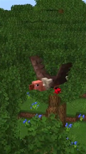 How I'd Update the Badlands #shorts #minecraft