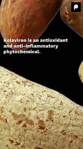 18K views · 82 reactions | Bitter Kola, also known as Garcinia kola, is a fruit from a tree that grows in the rain forests of West Africa. The health benefits of eating this fruit are numerous. #PulseWochitLifestyle | Pulse Nigeria | Facebook