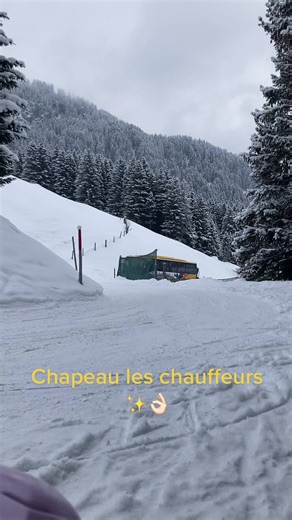 Les bus de grindelwald qui nous monte sur le pique de la montagne 🏔 pour une magnifique descente en luge! Merci a ces supers chauffeurs! ♥️✨👌🏻 #grindelwald #suisse #nature #luge #snow