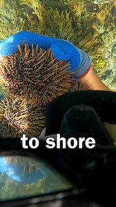 #fishing #catchandcook #recipes #outdoor #foodies #seafood | Outdoor Chef Life