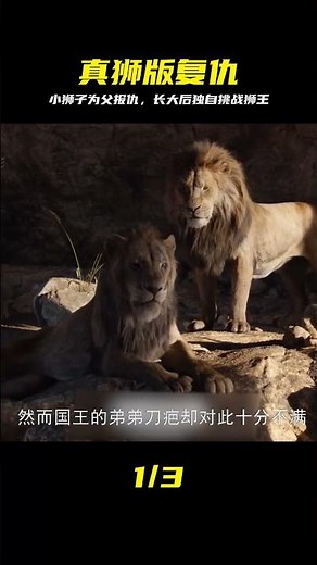 真獅版《獅子王》，小獅子為給父親報仇，長大后單挑獅群之王 #狮子王 #真狮版 #狮子王复仇 #动画解说 #单挑狮王
