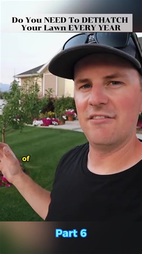 Do You NEED To DETHATCH Your Lawn EVERY YEAR #lawn #lawncare #grasscutting #tips #howto #DIY