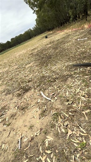 Testing go pro camera my Compund bow