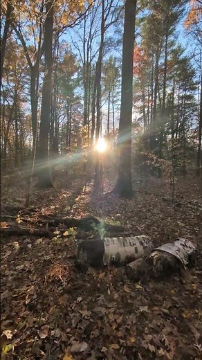 Uplifting Nature Walk.in Fall Colorful New England Forest walking Meditation 44 seconds