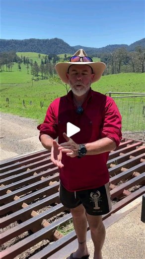 4WD 24/7 on Instagram: "The final leg of our Off Grid adventure from Sydney to Brisbane is LIVE! 🤩 Missed it? Check it out on YouTube! - #4x4 #offroading #overlanding #nsw #qld #touring #caravan #adventure"