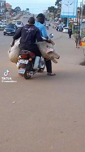 Même à Yopougon on n'a pas encore atteint ce niveau 🤣 | Monsieur YAPO