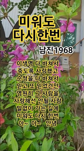 미워도 다시한번 #남진#트로트1968남진ㆍ최고히트인기애창곡
