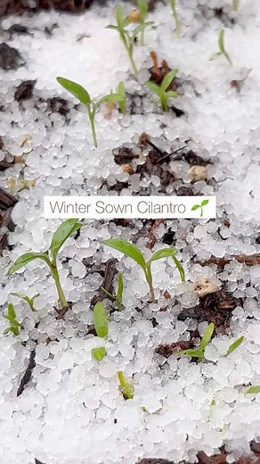 23K views · 341 reactions | Over the last nine years, we’ve had...