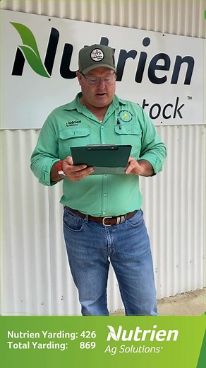 A fantastic start to the 2025/26 Weaner selling season at Boyanup Saleyards today - Wednesday 5th November 2025. For more details on prices, see the comments | Nutrien Livestock & Breeding WA