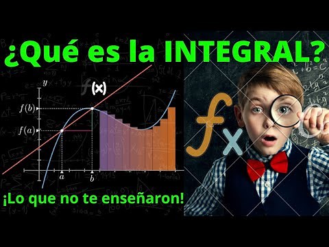 What is the integral? | The meaning of the definite integral (What they don't teach you about the...
