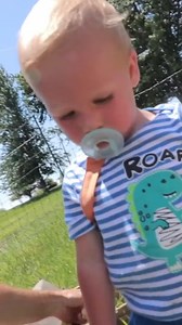 19K views · 434 reactions | We got our exotic chicks! 朗 #exoticchicks #birds #animals #farmlifeisthebestlife | White House on the Hill | Facebook