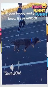 2.5K views · 28 reactions | Dogs making funny sounds | Funny funny funny | Facebook