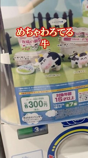 I want a really funny cow figure! I'm spinning the Snow Brand Megmilk Miniature Charm Farm Mornin...