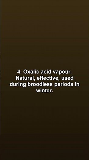 Natural Varroa Mite Treatment — No Chemicals Needed (5 Methods)