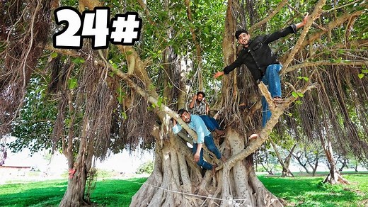 24 Hours Living on a Tree Part 2 | A1 Adventure