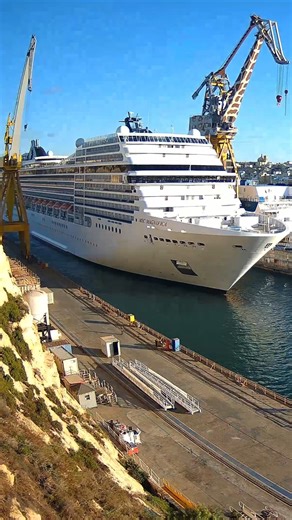 8.3K reactions · 375 shares | MSC Magnifica is getting a new look. ...