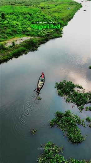 Maguri Beel Aerial 4K | The Most Peaceful Place in Assam