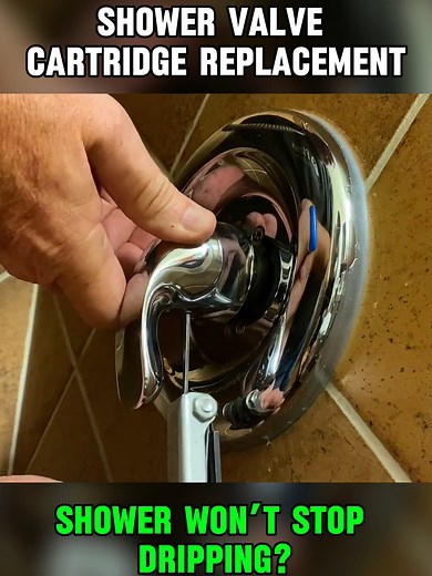 Essential Guide to Shower Valve Cartridge Replacement