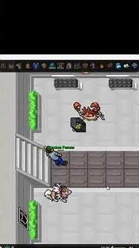 Como ir para Kanto em Johto? #pxg