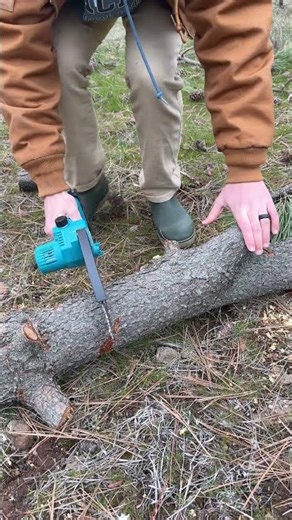 Electric handheld chainsaw #chainsaw #handheldchainsaw #yardwork #ripper