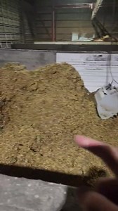 335K views · 16K reactions | First off, I don't regret going with automation. Automated feeding saves me almost 2 hours a day so one bad night doesn't counter hours of labor savings and happy cows. But nights like these are still rough  It's still working the next morning if you're wondering. | IowaDairyFarmer | Facebook