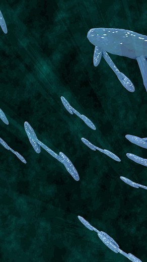Creating 3D DNA Animation with TAO Plugin in After Effects