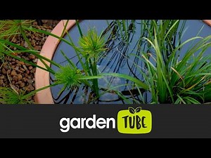 A creative water feature DIY