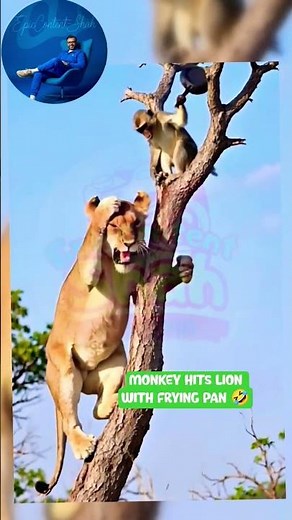 Viral Animal Meme That Broke the Internet! (HILARIOUS) #funny #youtubeshorts #animals