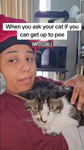 "Impossible" from 1997 Cinderella ‪@whitneyhoustonmusic‬ #catlovers #cinderella #brandy