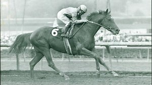 Ferdinand: Whittingham’s Memorable Derby Winner