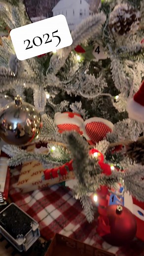 #lionessarising #lynnshealingjourney #christmas #tennessee #texascheck