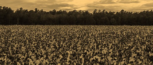 Who Owns the Ice House? The Book