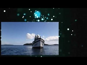 Shark Week 2014 lair of the mega shark dvdrip x264 w4f