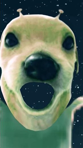 like and subscribe for eat you