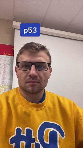 Understanding p53 Protein Domains in Mitosis and Cancer Cells